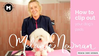 How to clip out your dog’s pads. by Melanie Newman Salon Essentials 2,479 views 2 months ago 7 minutes, 38 seconds