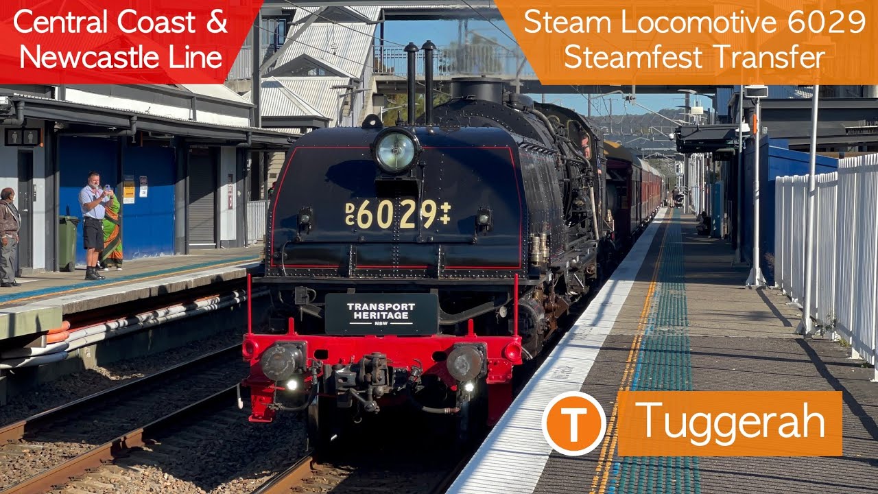 Transport for Sydney Vlog 629: Tuggerah Part 3 + Steam Locomotive 6029 ...
