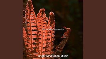 Dashing Backdrops for Transcendental Meditation
