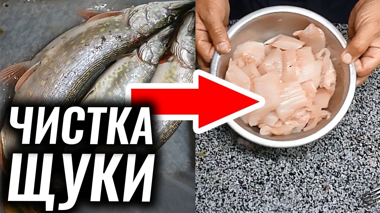 Как легко почистить судака от чешуи в домашних условиях - советы рыбаков