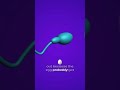 Is sperm the true architect of the human body? Dr. Kaci reveals her theory.