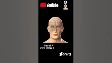 सर पर च ट लगन स क य ह त ह Head Injury And Blood Contusion India Biology Medical 