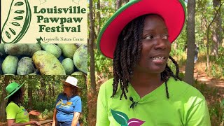 Hidden Tropical Paw Paw Fruit | Zone's 5-8