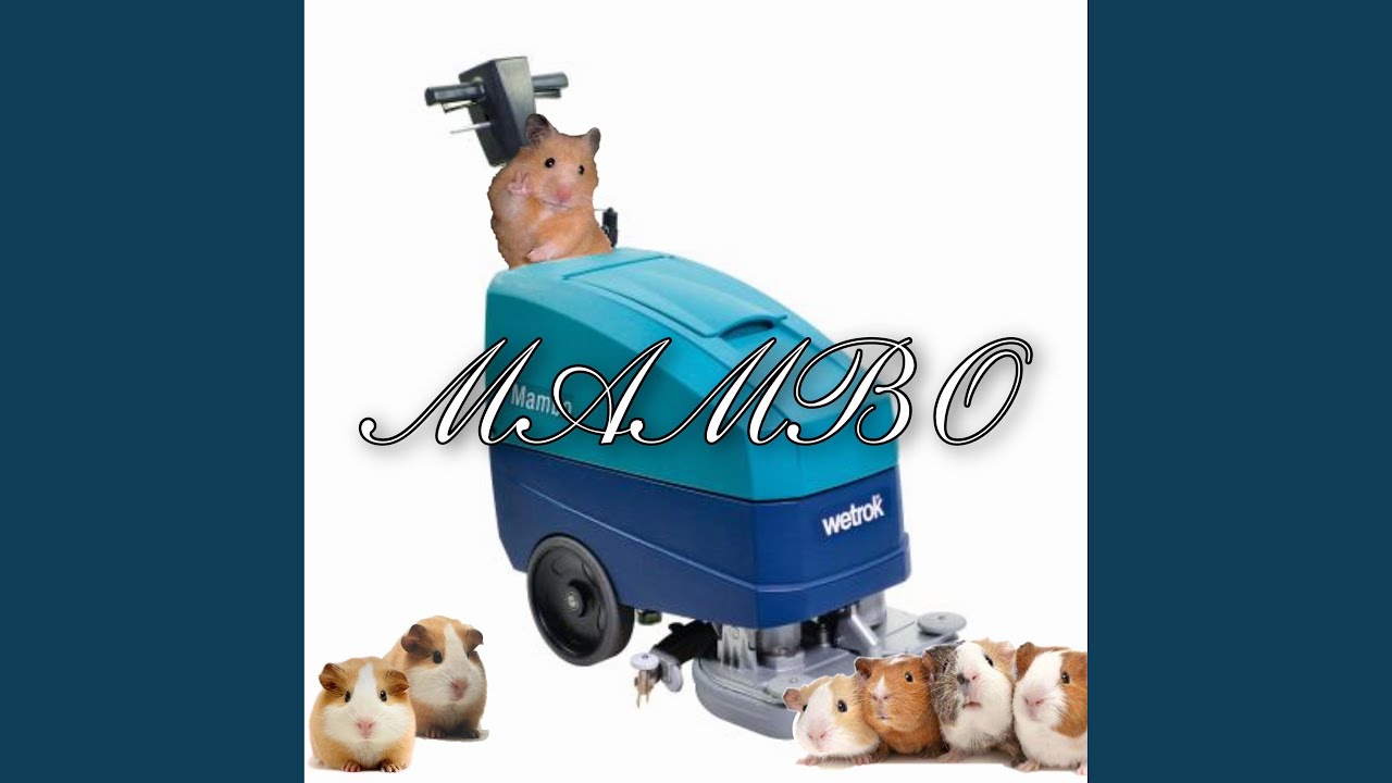 Ver MAMBO no YouTube
