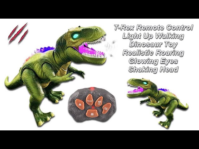 Fun Remote Control Walking Dinosaur with Lights and Sounds