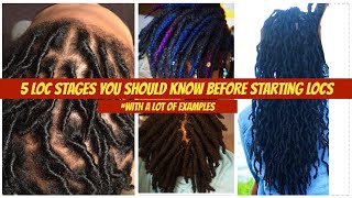 Loc talk: THE 5 LOC STAGES YOU SHOULD KNOW | COILS TO MATURE LOCS | *with a lot of examples