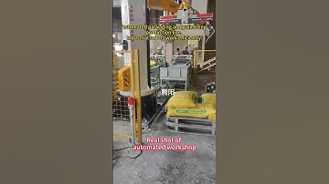 Automated packaging and palletizing production line. Industrial robots work efficiently. #factory