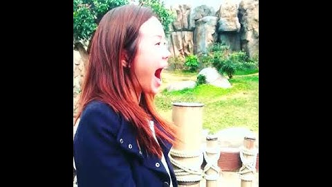 The Reason why Pandas are endangered - Livelaughtravel.net