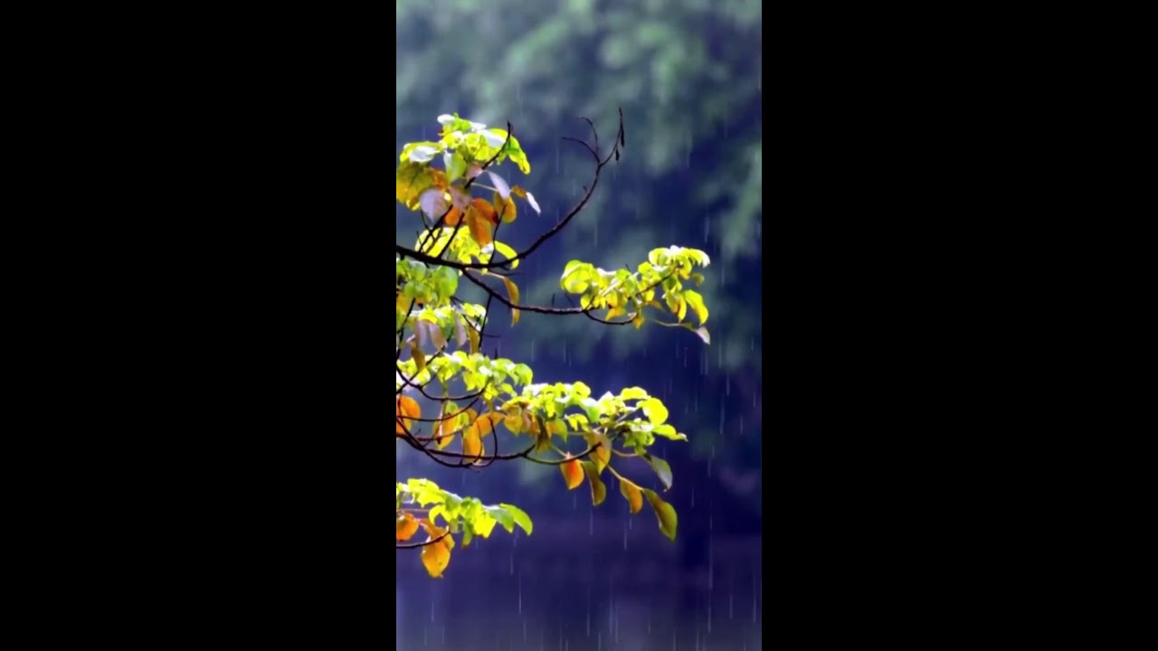 Jazz Chrétien | Paix, prière et repos pour l’âme