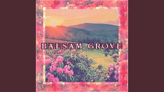 Watch Balsam Grove The Last Day You Ever Saw Me video