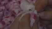 MsAllyaa