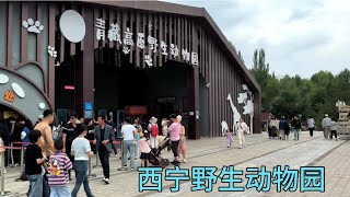 西宁青藏高原野生动物园，门票30进去看可爱的动物