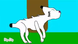 Lynx running cycle