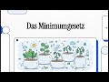 The Law Of The Minimum Simply Explained 