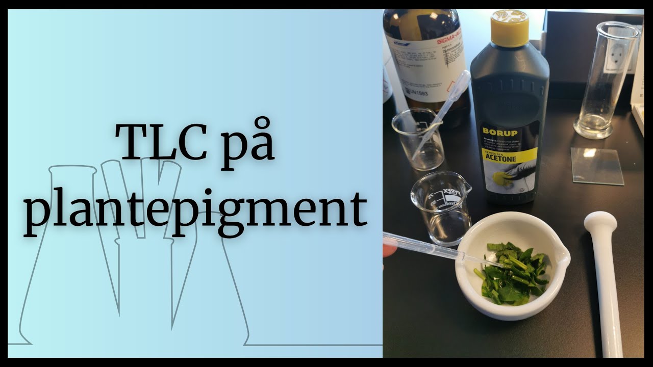 Lab - TLC på plantepigment - YouTube