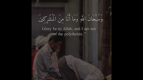 قران كريم بصوت الشيخ خالد الجليل حالات واتس اب دينيه