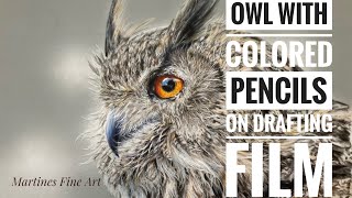 owl in colored pencils owl in colored pencils