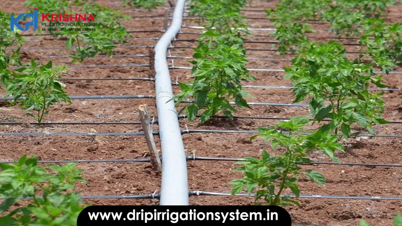 Drip irrigation system Drip irrigation manufacturer Drip irrigation