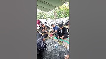 PENDADARAN PSHT CABANG SUMENEP 2025 #shorts