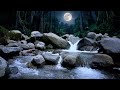 River Sounds for Sleeping | Natural White Noise for Deep Sleep and Stress Relief Tonight