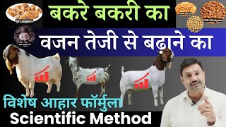 बकरे का वजन तेजी से बढ़ाने के लिए क्या खिलाना चाहिए Goat Weight Gain Feed by Ramawat Goat Care