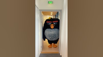 The Angry Birds Movie 3 2026 Teaser Trailer 3 HD 4K