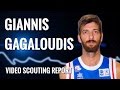 Giannis Gagaloudis scouting report 2014