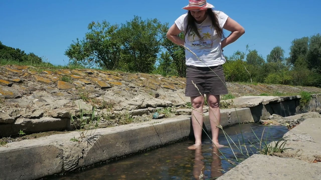 This video reminds me of The Adventures of Tom Sawyer  by Mark Twain