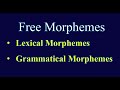Free Morphemes | Lexical & Grammatical Morphemes