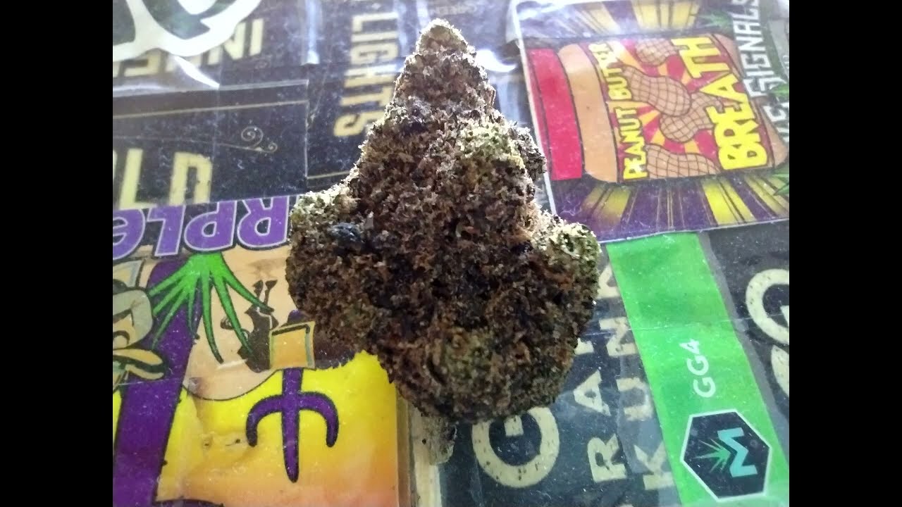 Peanut Butter Breath Strain Review.