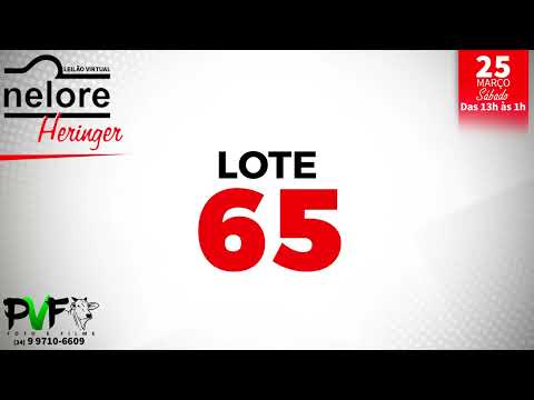 LOTE 65