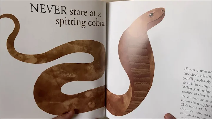 Never Smile at a Monkey