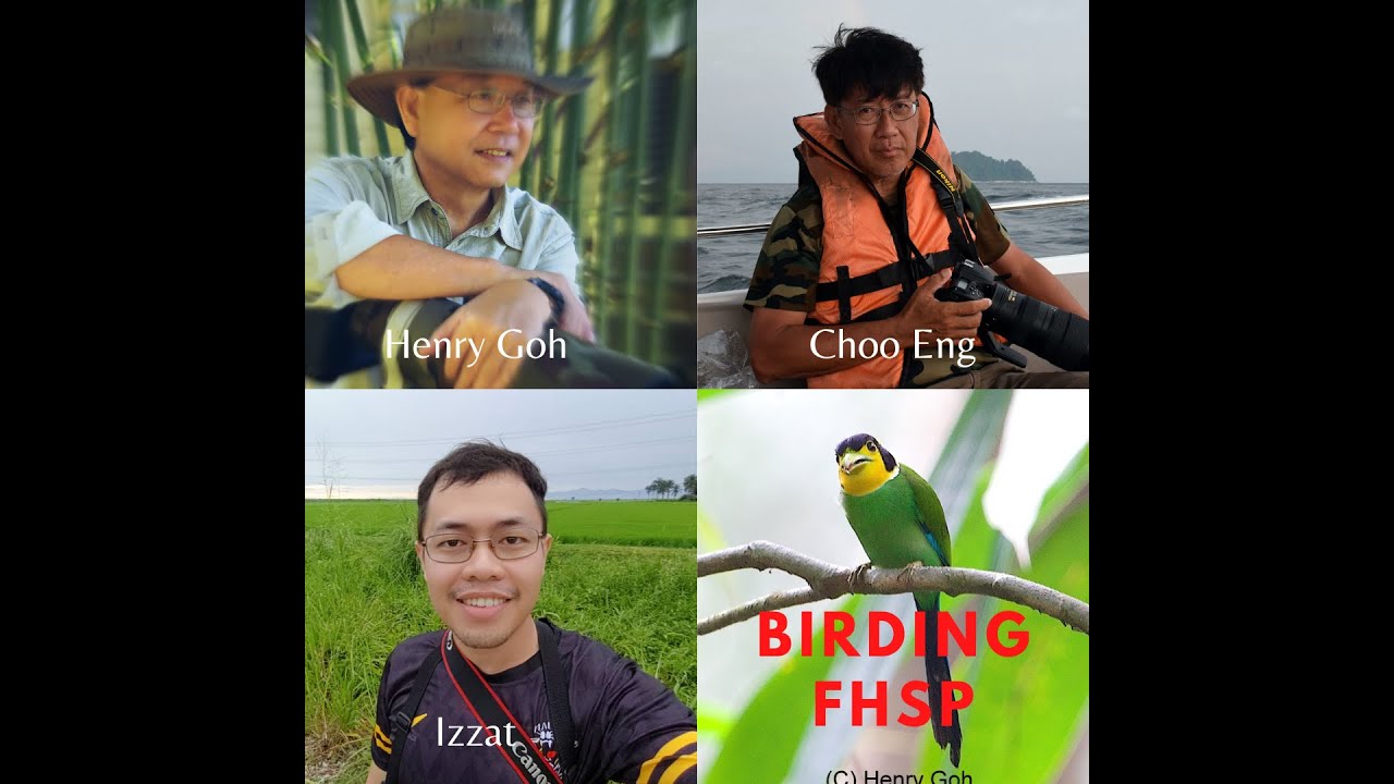 Birding FHSP