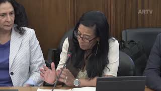 09-07-2026 | Audição do Ministro da Economia e da Coesão Territorial | Rosa Isabel Cruz 2ª