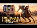 Vaquejada e Piseiro 2025 - O Repertório Novo Pra Tocar no Paredão (Só as Melhores)