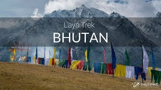 Bhutan Trek to Laya | Adventure Travel Vlog in the Himalayas - 4k
