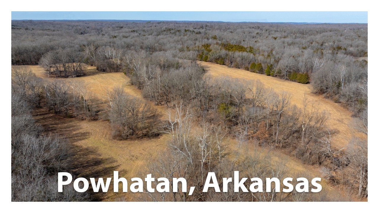 Land for Sale | Lawrence Road 228 Powhatan, AR 72458 Listed at $524,500