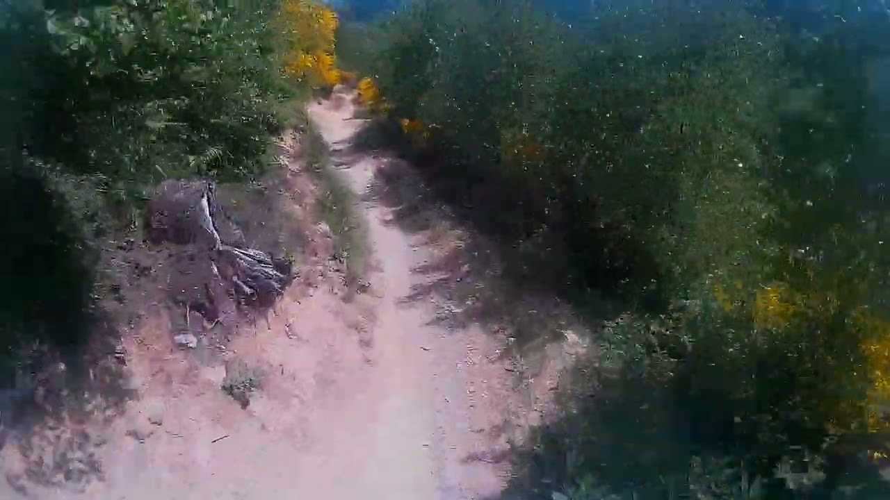 Bikepark Hürtgenwald Flowtrail 15 05 2022