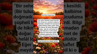 🌿Mevlanadan Nasihat🌿 #viral#viralvideo#mevlana #nasihat#mesnevi#youtubeshorts#trending#ytshorts#fyp