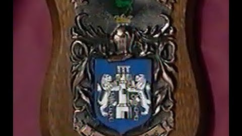 Your Irish Ancestry: Kelly/O