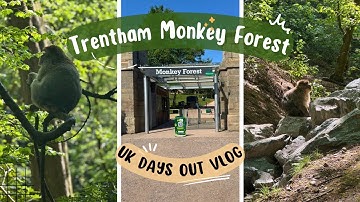 Trentham MONKEY FOREST Tour 🇬🇧 | The Perfect Family Day Out | Stoke on Trent