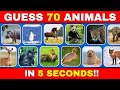 Guess 70 animals in 5 seconds | Animal quiz