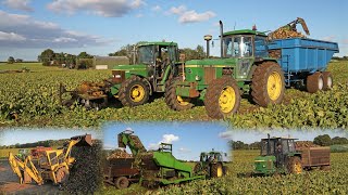 Classic sugar beet harvesting with Standen Turbobeet Mk3 John Deere 6400, 6420S, 3140, 2040 and 1140