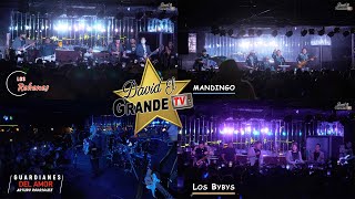David El Grande Tv - #LosRehenes #GuardiandesDelAmor #Mandingo #LosBybys 11/27/2021
