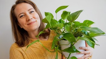 Planten tour 🌿 - Huisje op het platteland - Kamerplanten - PELABLE