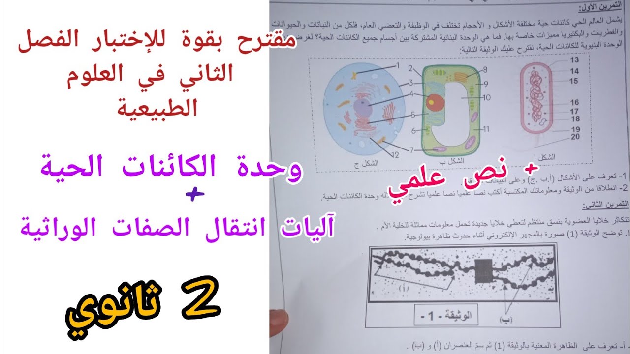 مقترح بقوة للإختبار الفصل الثاني في العلوم الطبيعية(وحدة الكائنات الحية+آليات انتقال الصفات الوراثية