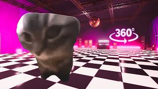 360° CHIPI CHIPI CHAPA CHAPA CAT - CLUB | 4K VR 360 Video