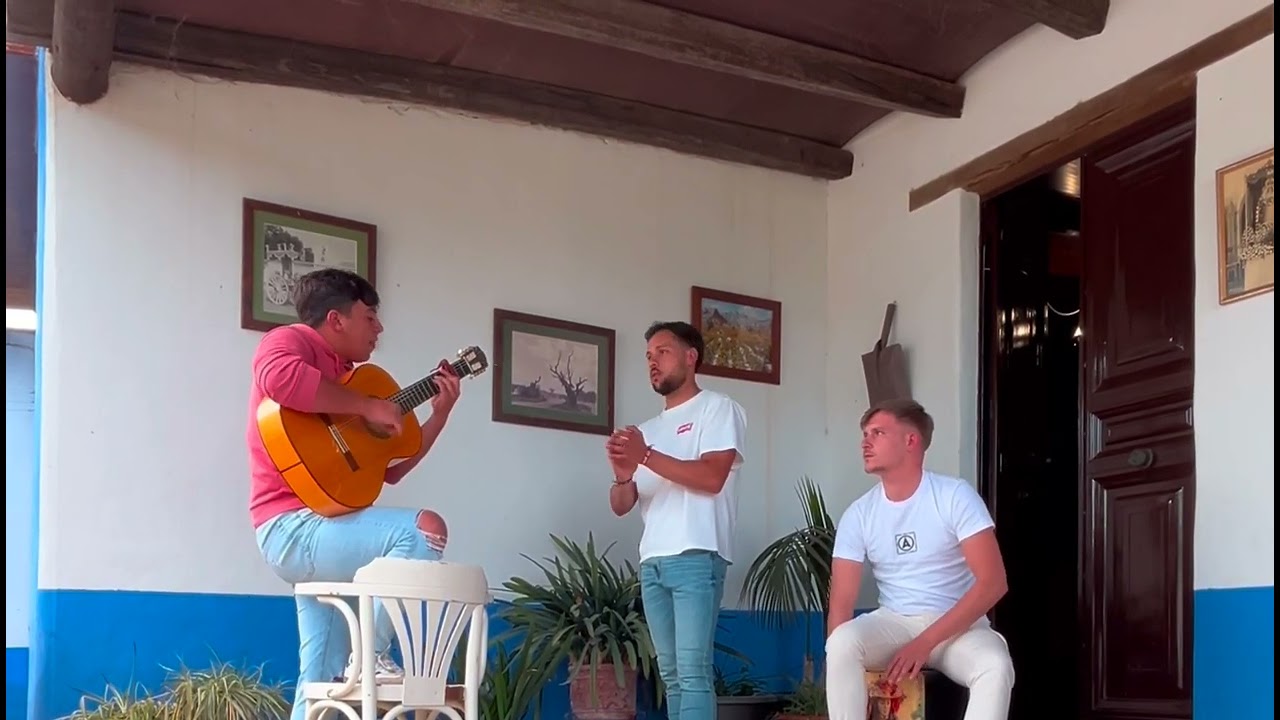 FLAMENCO! A'COMPAS POR MANUEL CARRASCO 