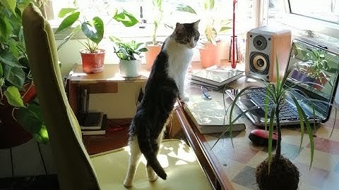 Números combinatorios - casos particulares