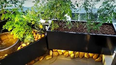 Trang trí ban công tiểu cảnh, bể nước phong thủy đẹp và độc đáo